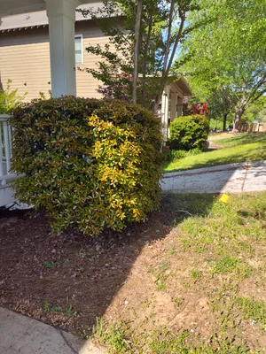 Gutter cleaning