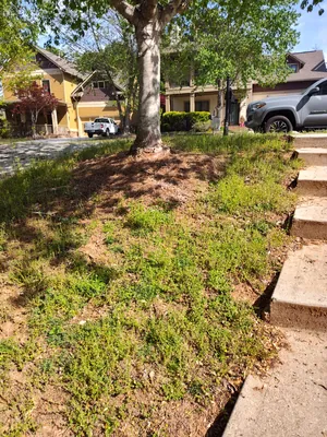 Pressure washing