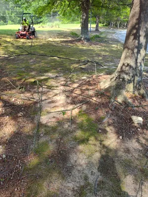Patio cleaning