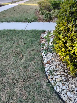 Business landscaping