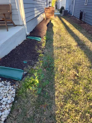 Parking lot landscaping