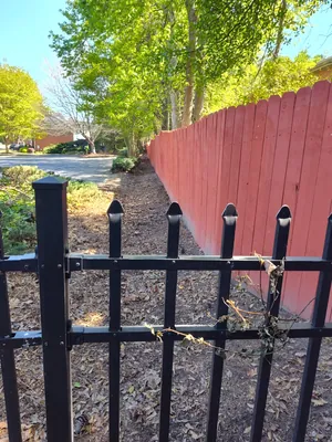 Commercial lawn care