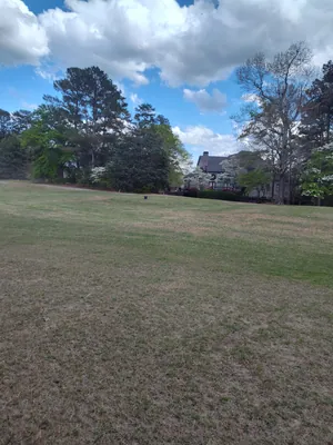 Garden transformation