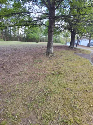 Flower bed installation