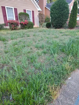 Lawn mowing service