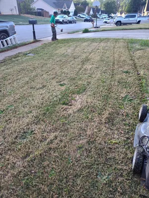 Seasonal yard cleanup