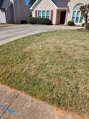 Mulching and edging