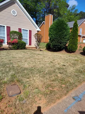 Weed control
