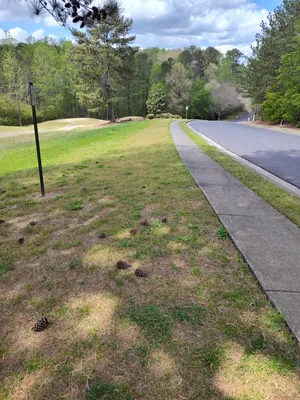 Shrub trimming
